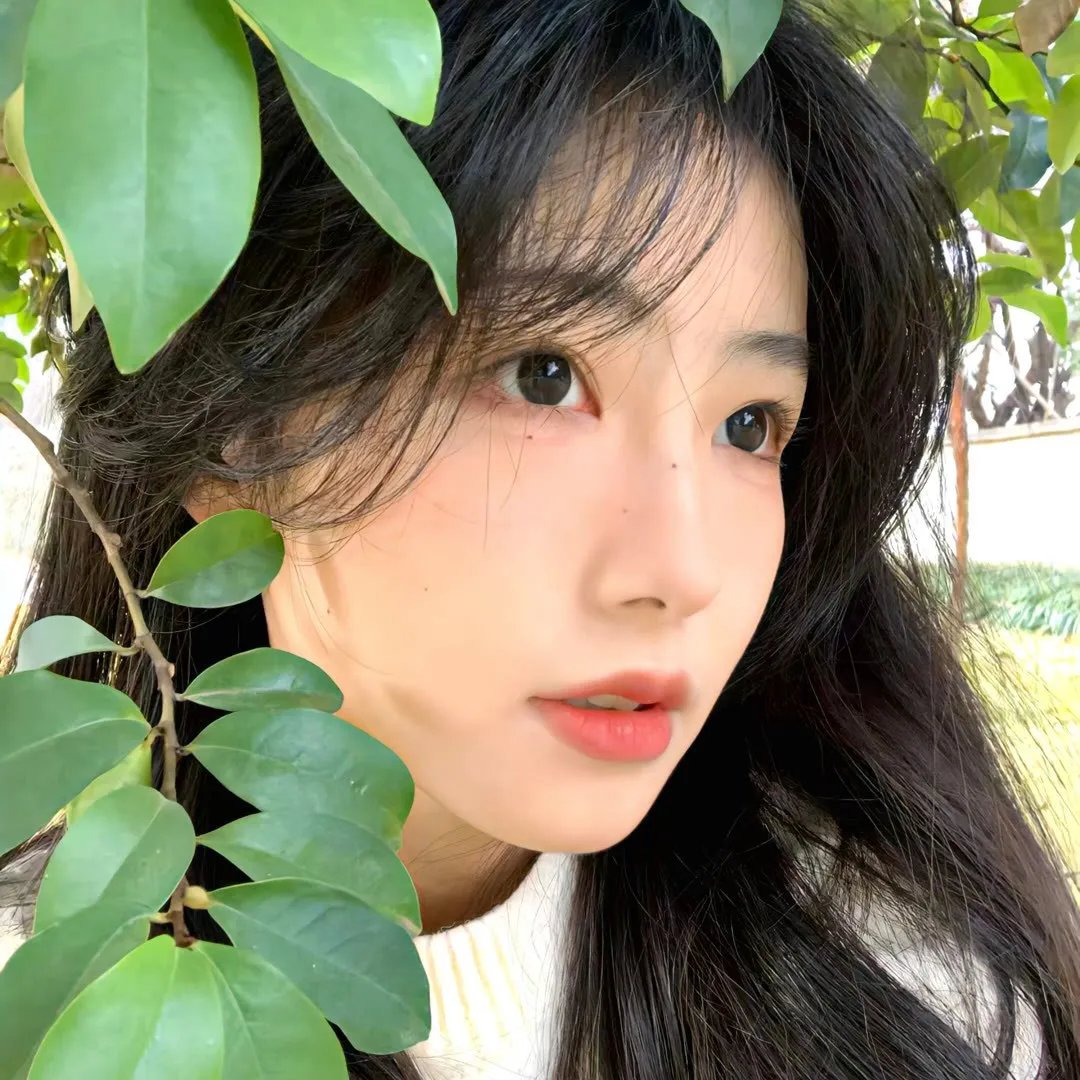 节日的准备